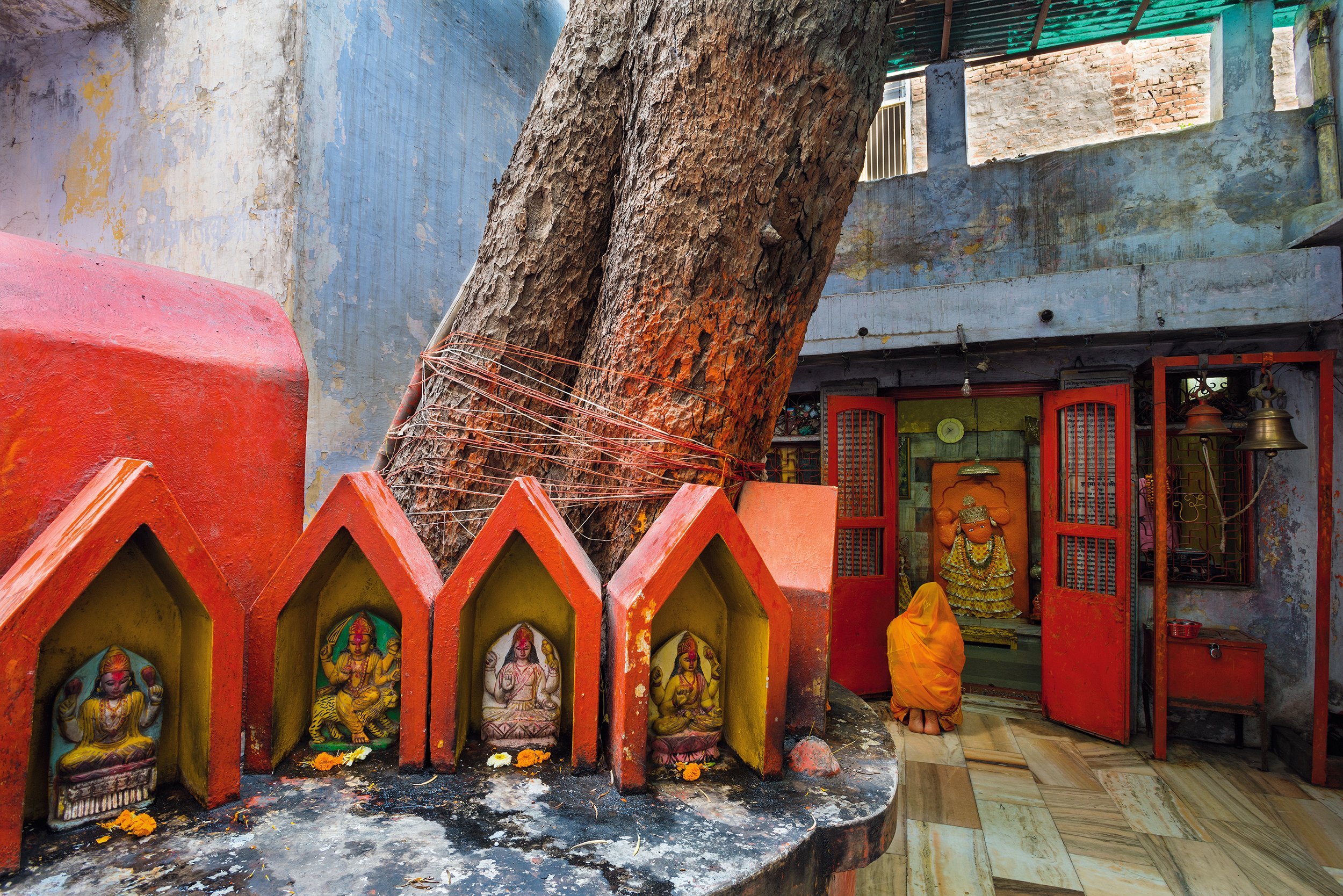 Image of a Hanuman temple in Varanasi, from the book 'Wise Trees' by Diana Cook and Len Jenshel