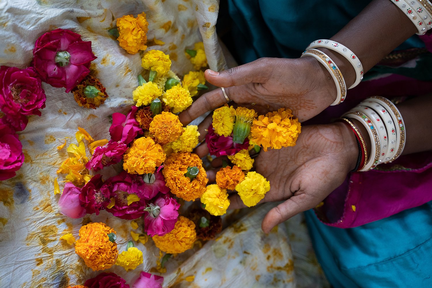 Gathering local temple flowers at the Saheli centre in Bhimakhor, Rajasthan (Image by Jack Howard)