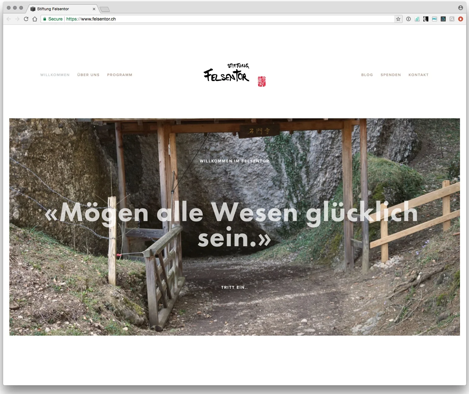 ft_web_1.jpg