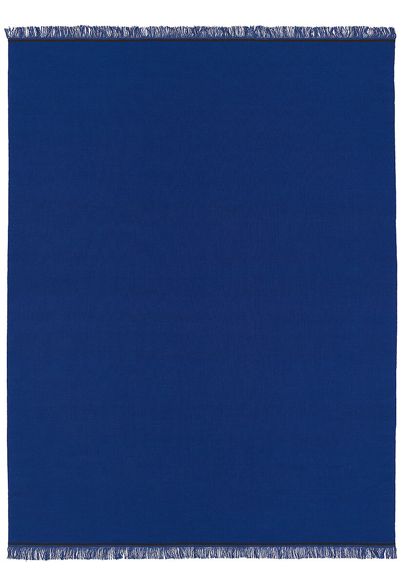 A SINGLE PLY – DELPHINIUM