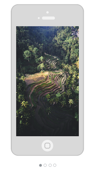 phone.png