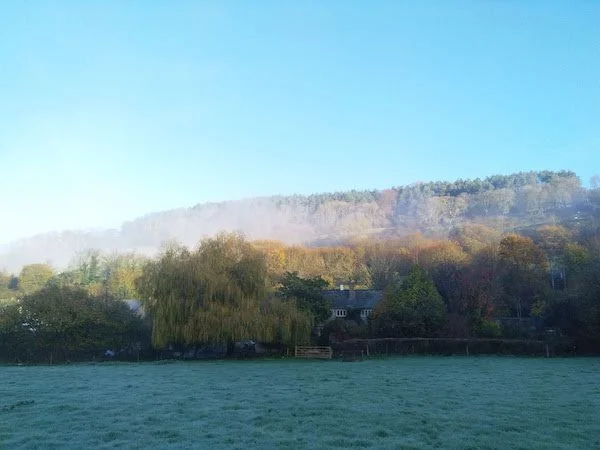 Our Solstice Newsletter - Now is a Time for Courage