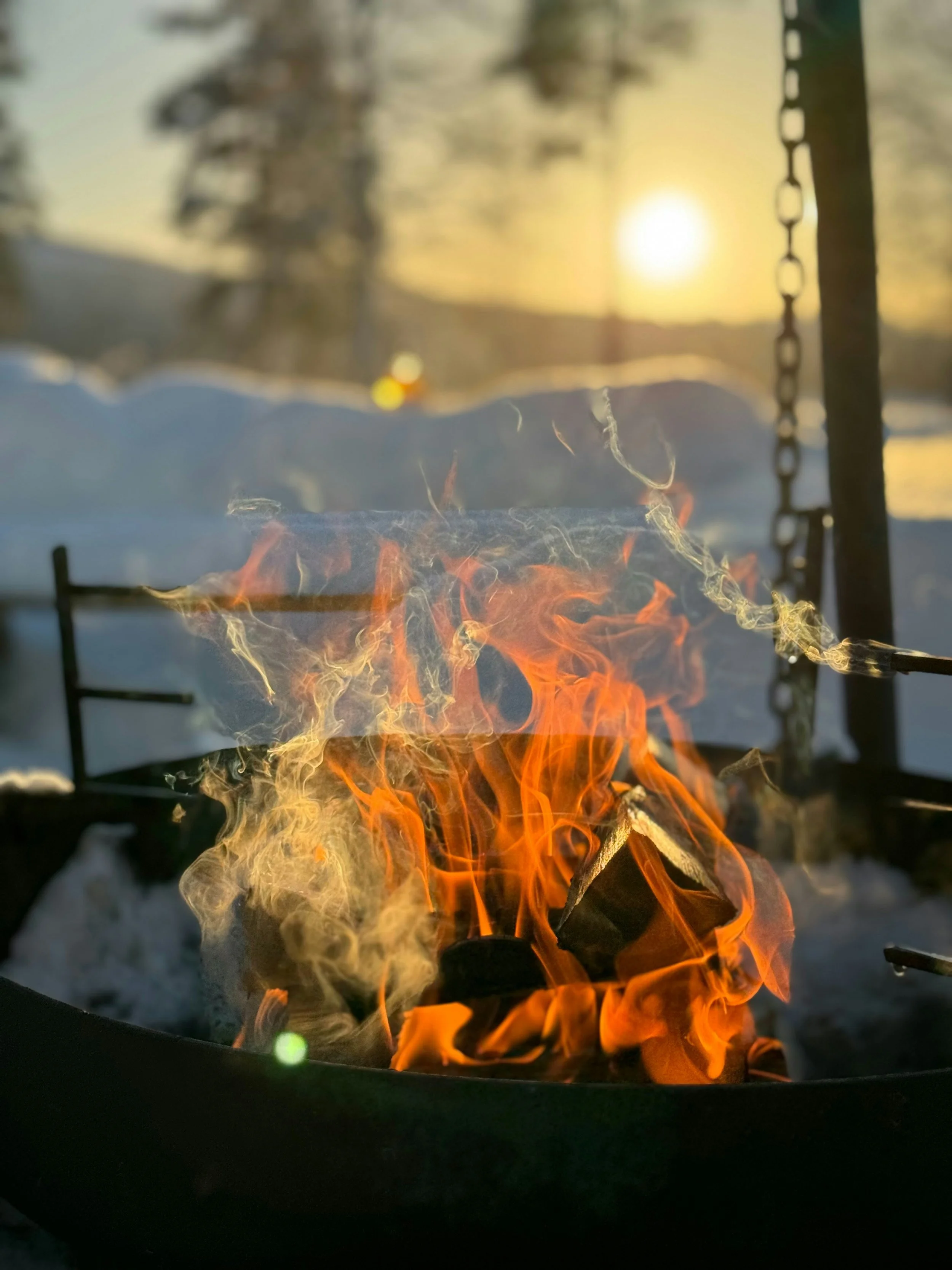 Our Solstice Newsletter: When the World Pauses to Breathe