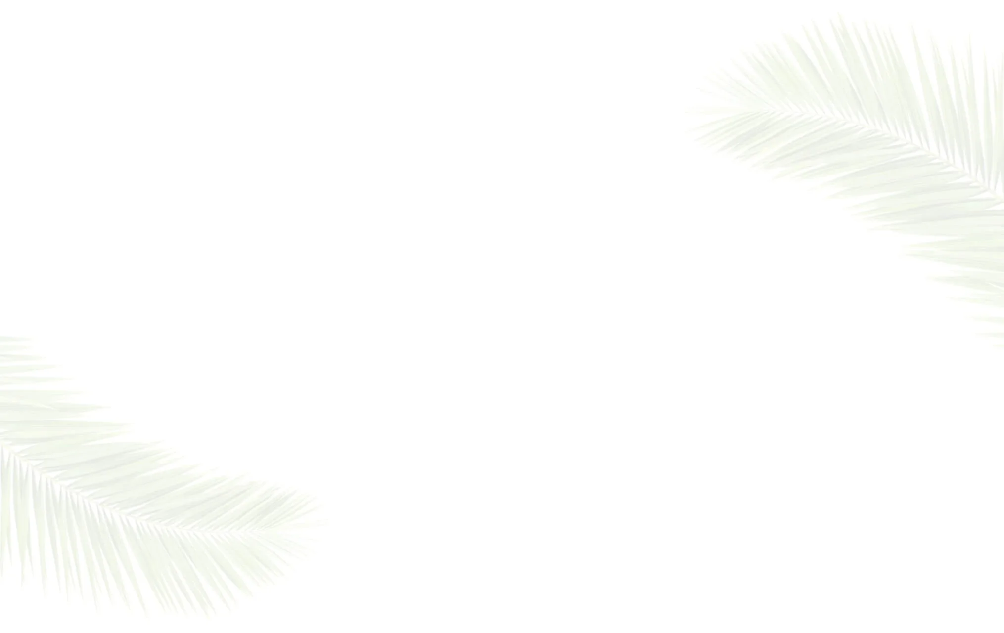 diary_bg.jpg