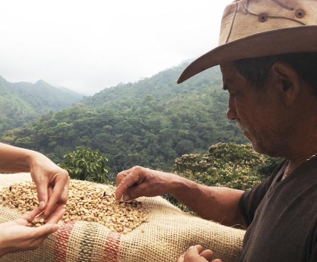 Photo by @candaleriacoffee