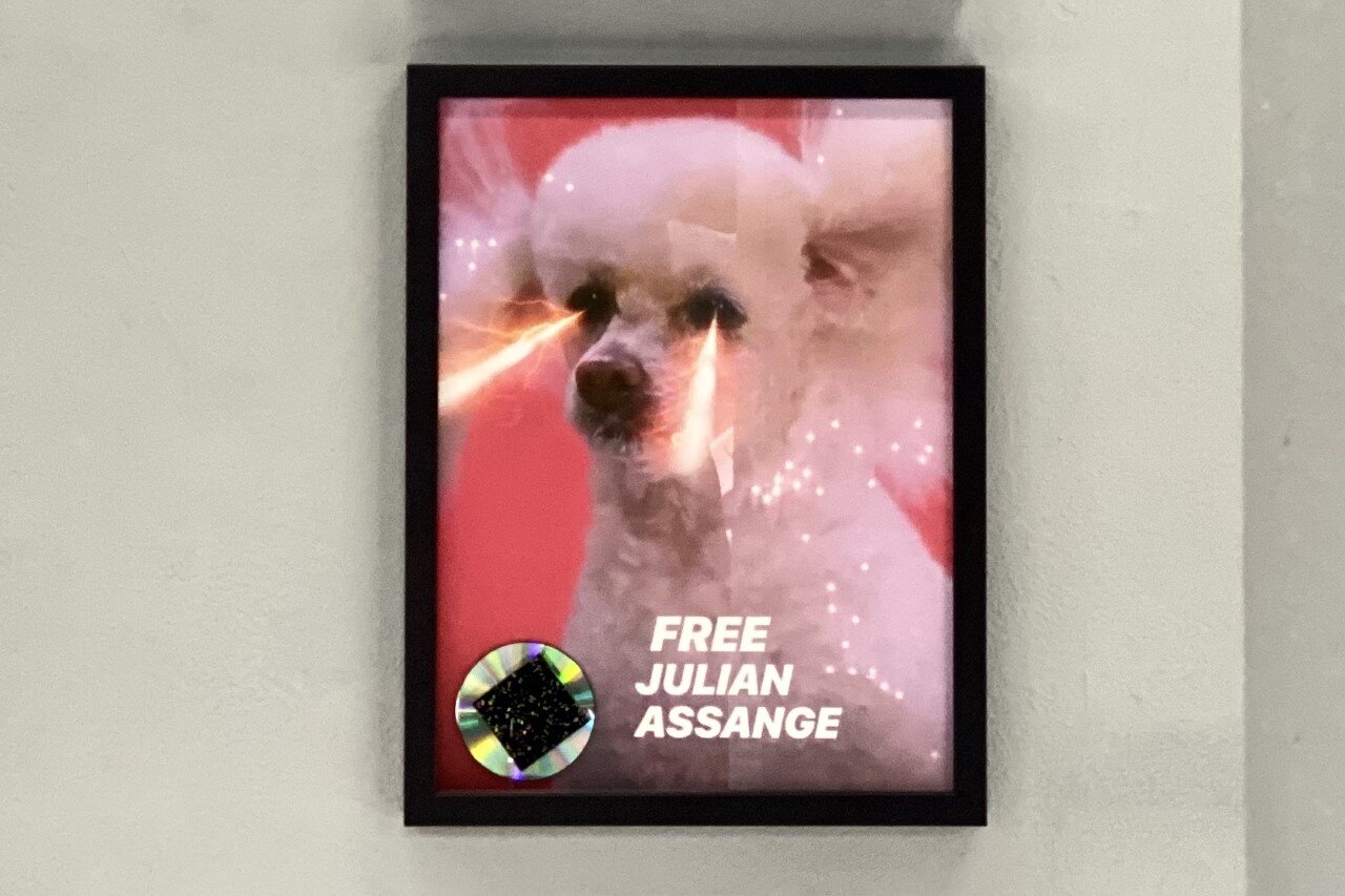 Nina E. Schönefeld, FREE JULIAN ASSANGE, print collage, 30 x 40 cm