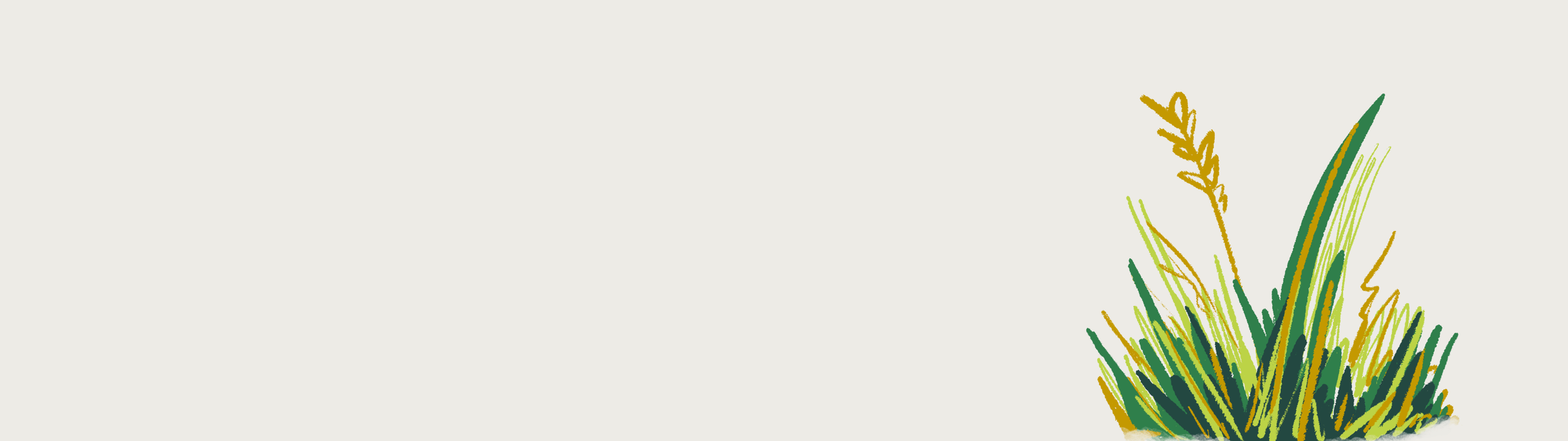 Parables Graphic (Banner no text).png