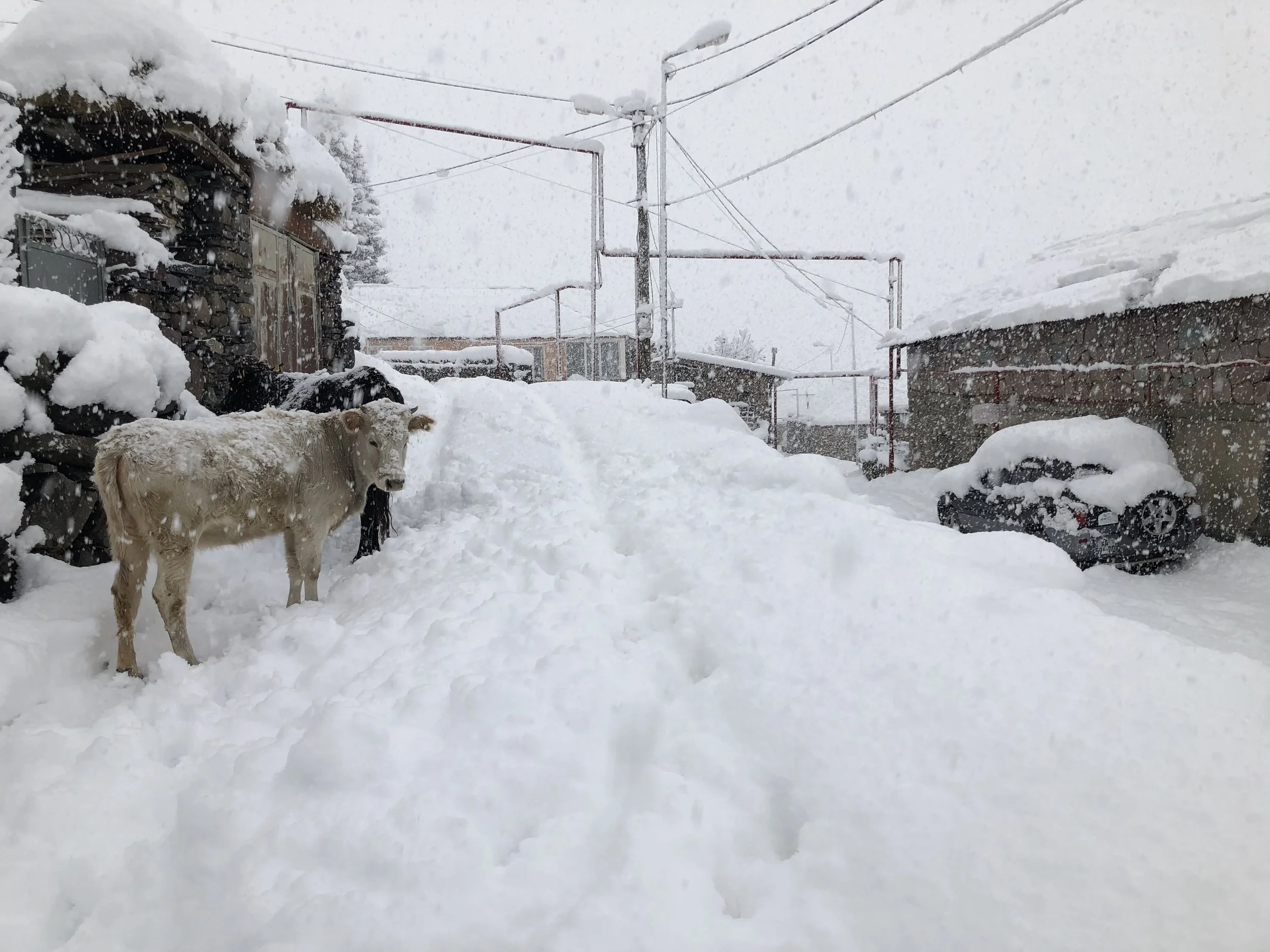 Stuck for three days on the road from Vladikavkaz to Tbilisi