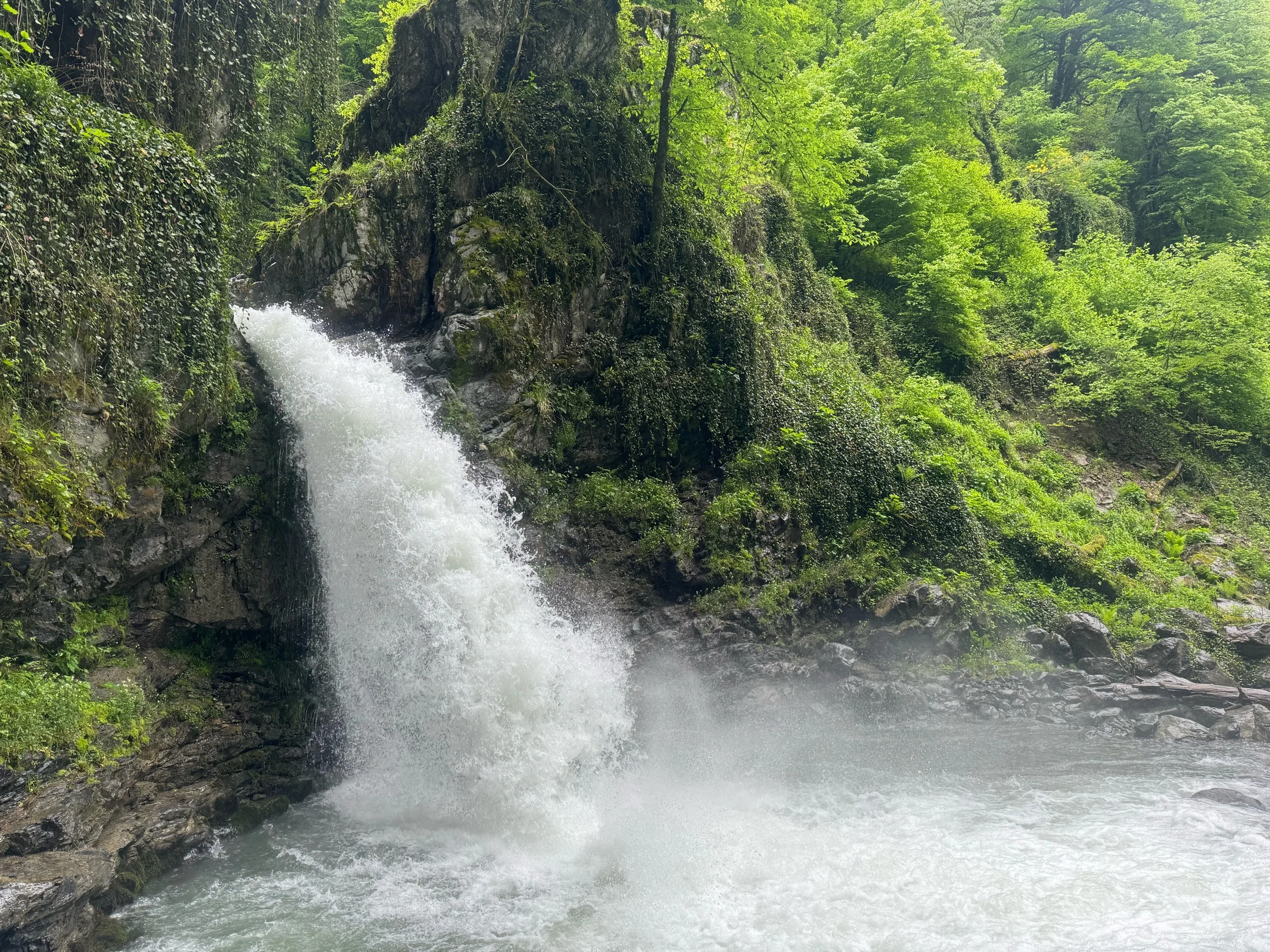 Lagodekhi in May: a good time to visit?