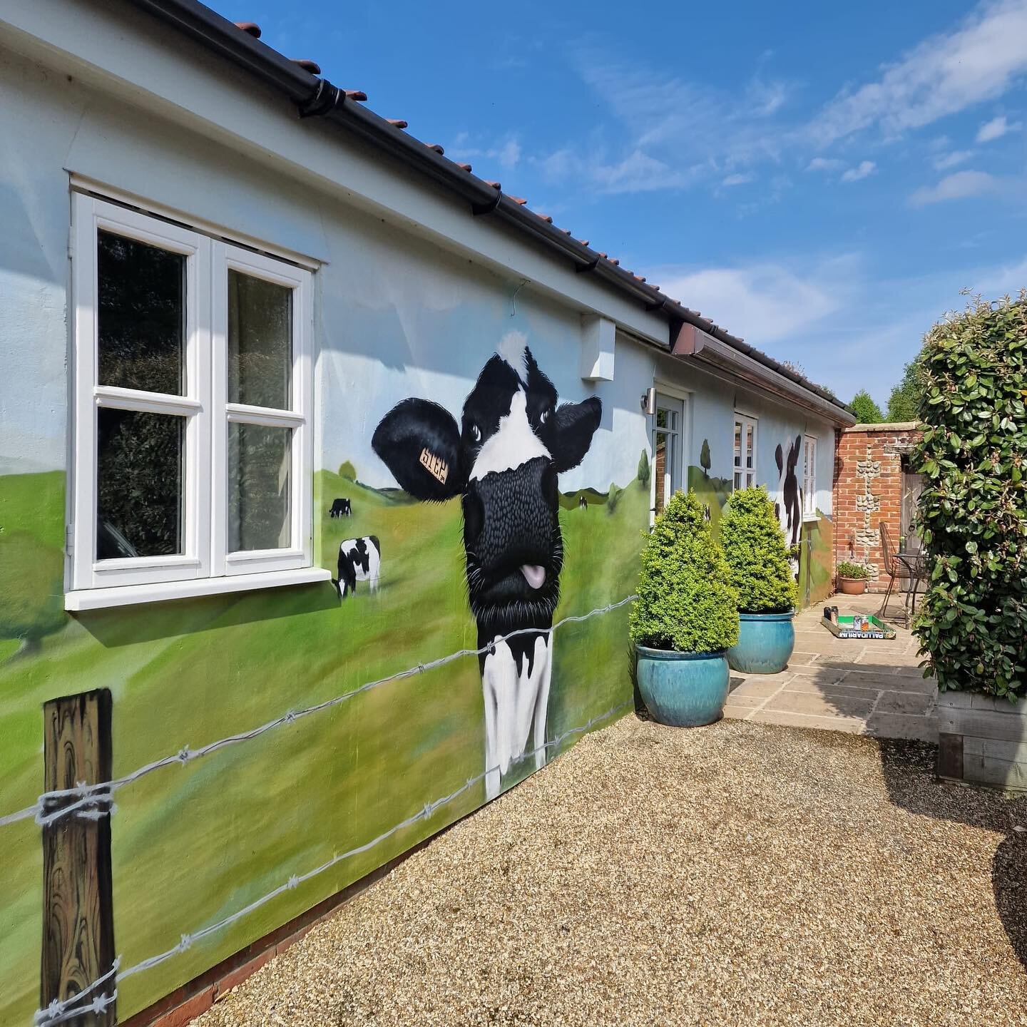 The cows of Dairy Cottage have had a bit of a touch up, by our talented friend Tony @stepthirtynine. 

They have been going strong for seven years, and have now been revitalised for the next seven! After all this time, we still enjoy their presence e