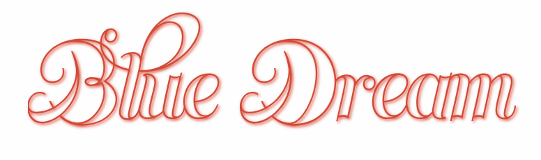 Bluedream.com_logo.png