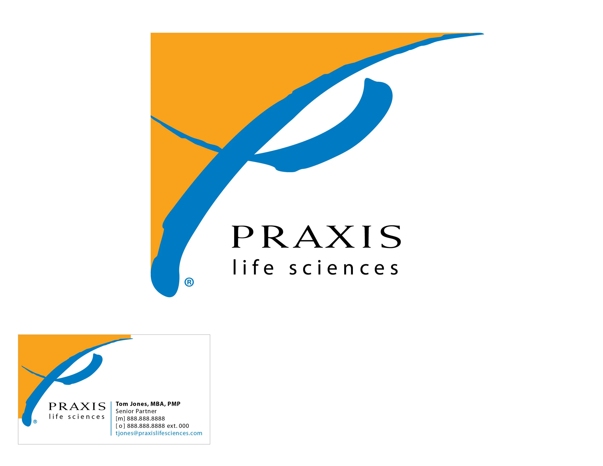 Praxis Logo-01.jpg