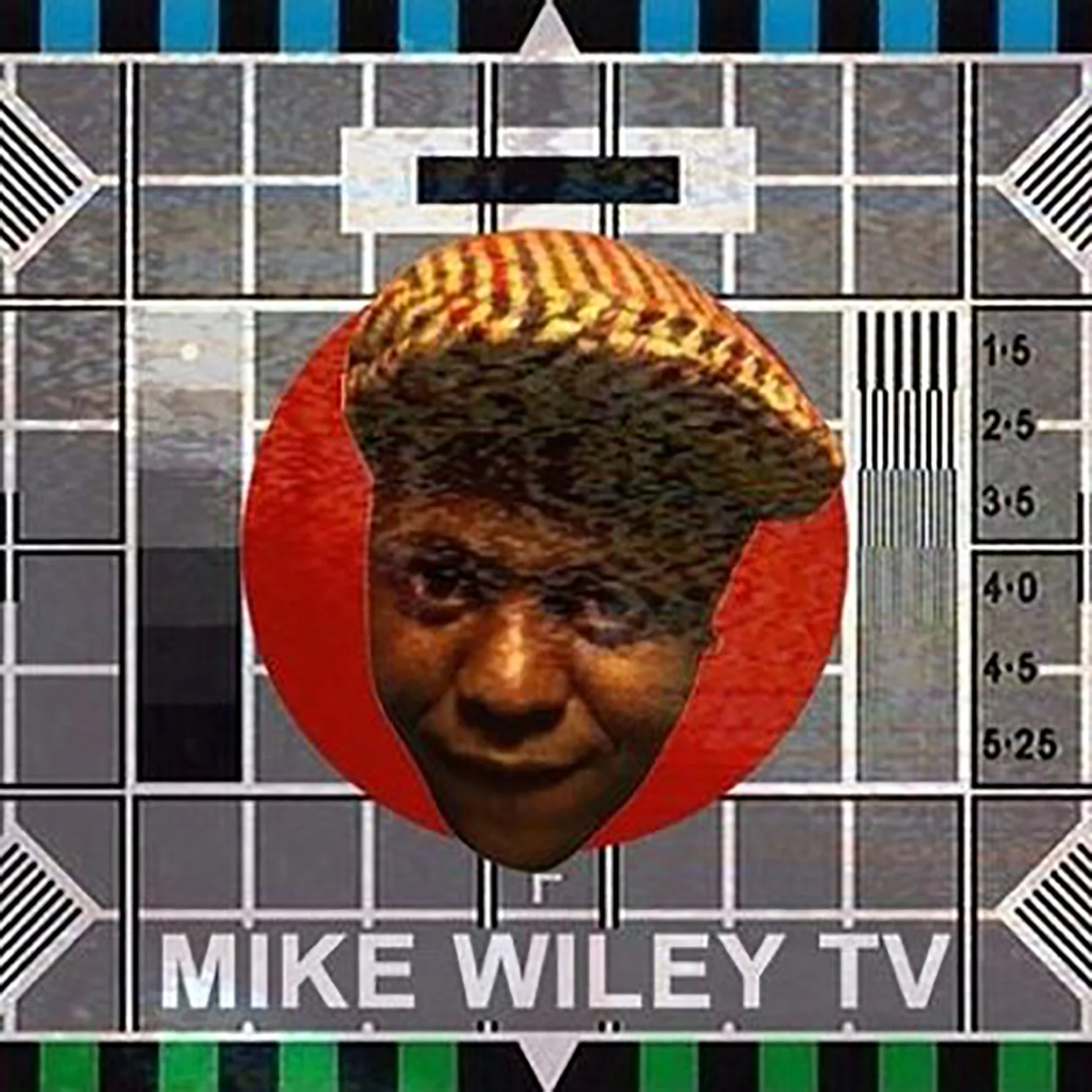 MikeWileyTVLogo.jpg