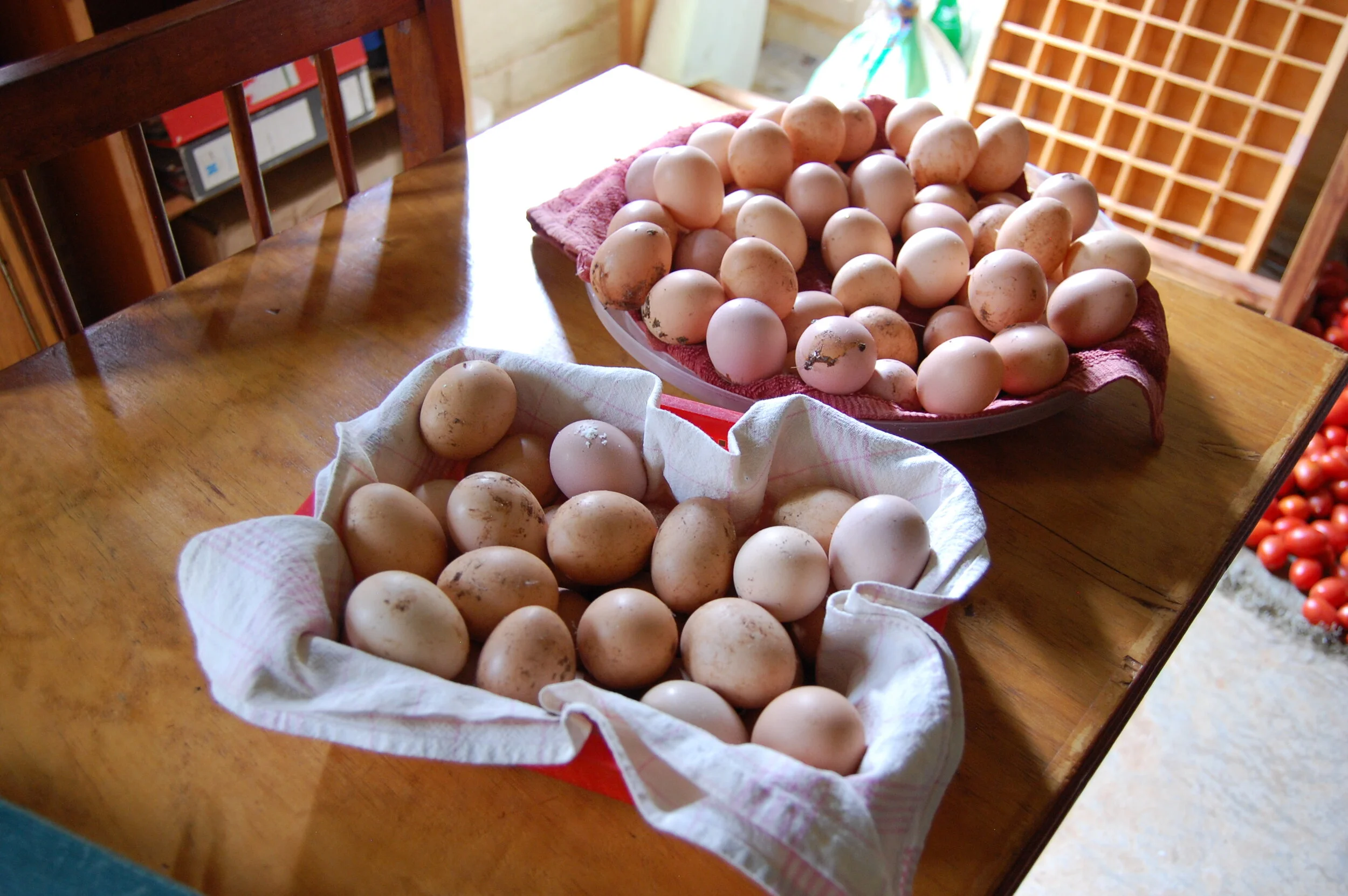 Resources for Micro Farming