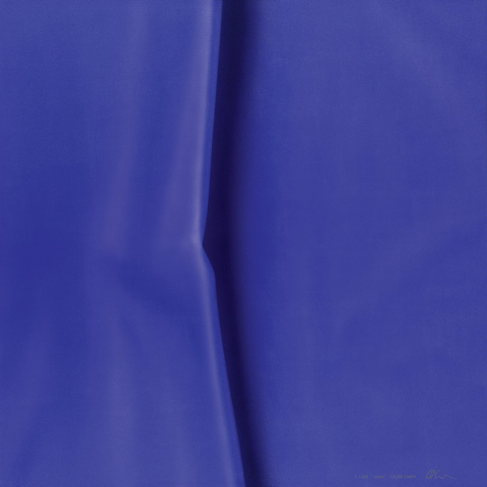 WEBPLICPU36X36.jpg