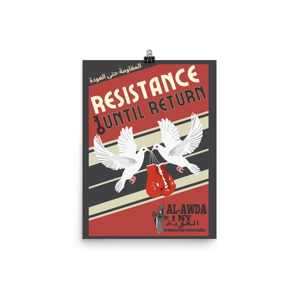 enhanced-matte-paper-poster-(in)-12x16-transparent-65960127cb2e1.jpg