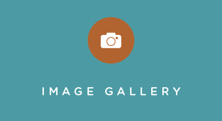 Image gallery