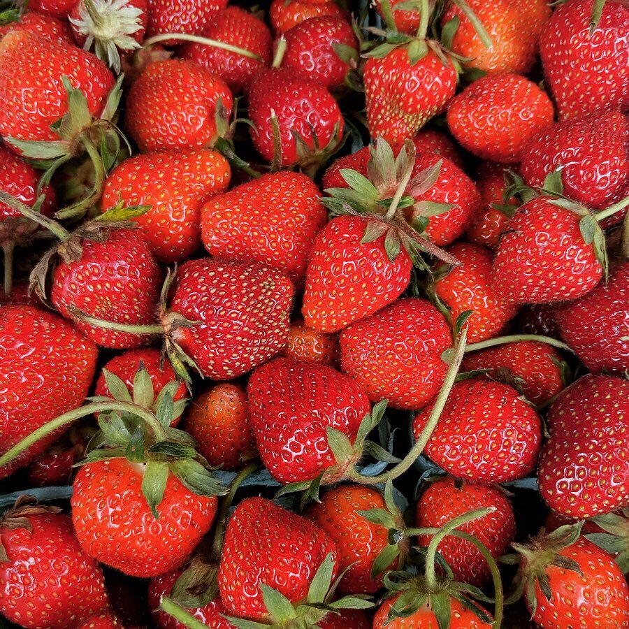 strawberries-4.JPG