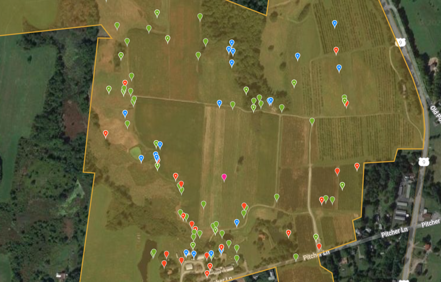 Measuring Biodiversity On Our Farm