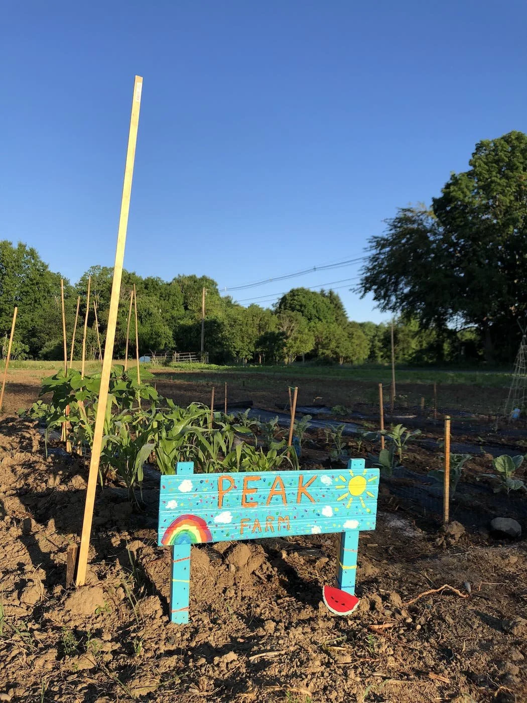 Join Our Community Garden
