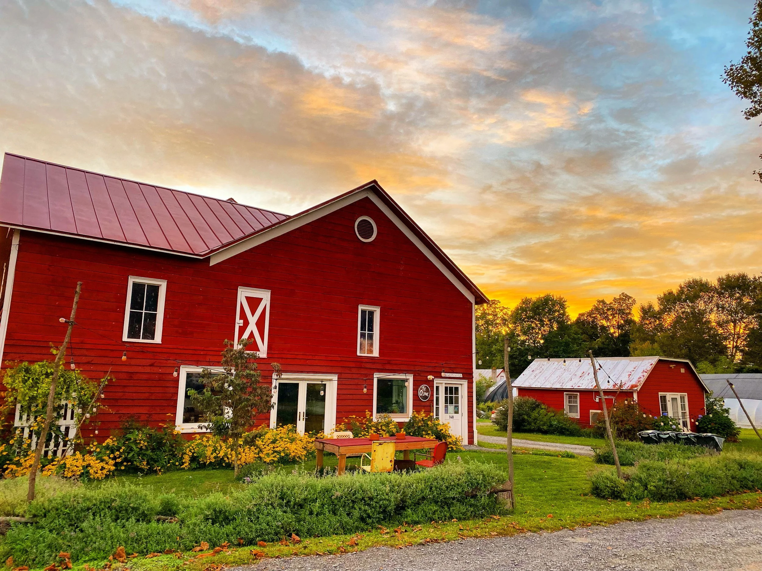 Hudson Valley Cannabis Gardeners Class: Part 4 - Harvesting, Curing &amp; Storing Cannabis