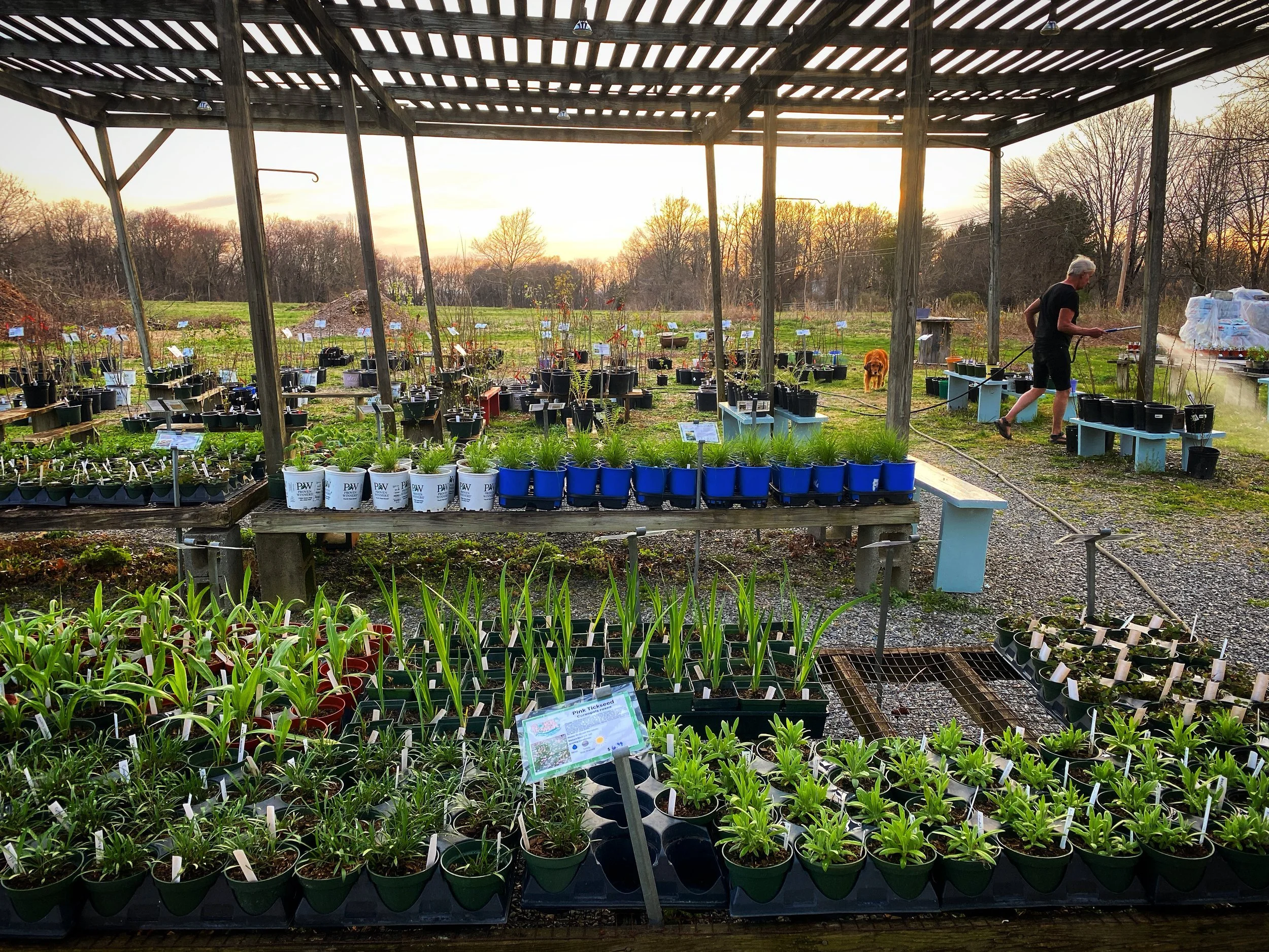 Flower Power Nursery & Garden Center
