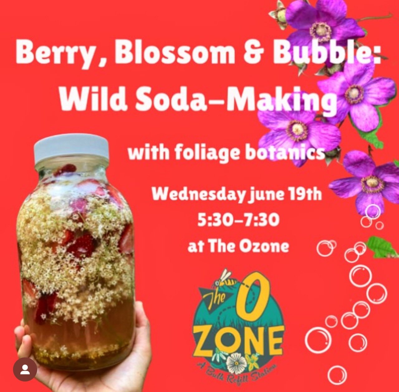 Berry, Blossom and Bubble: Wild Soda Making @ The O Zone