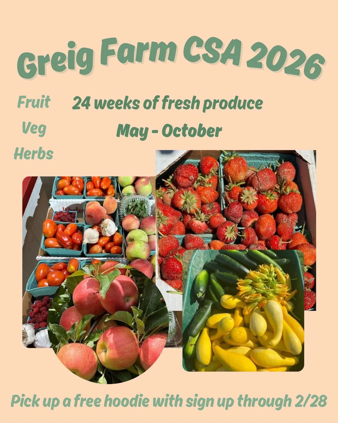 Sign up for our CSA program now! 24 weeks of fresh produce from May-October. Get our weekly fruits, veg &amp; herbs. Pick up a free hoodie with sign up through the rest of February. The link is in our bio or through our website! 

Farm open every day
