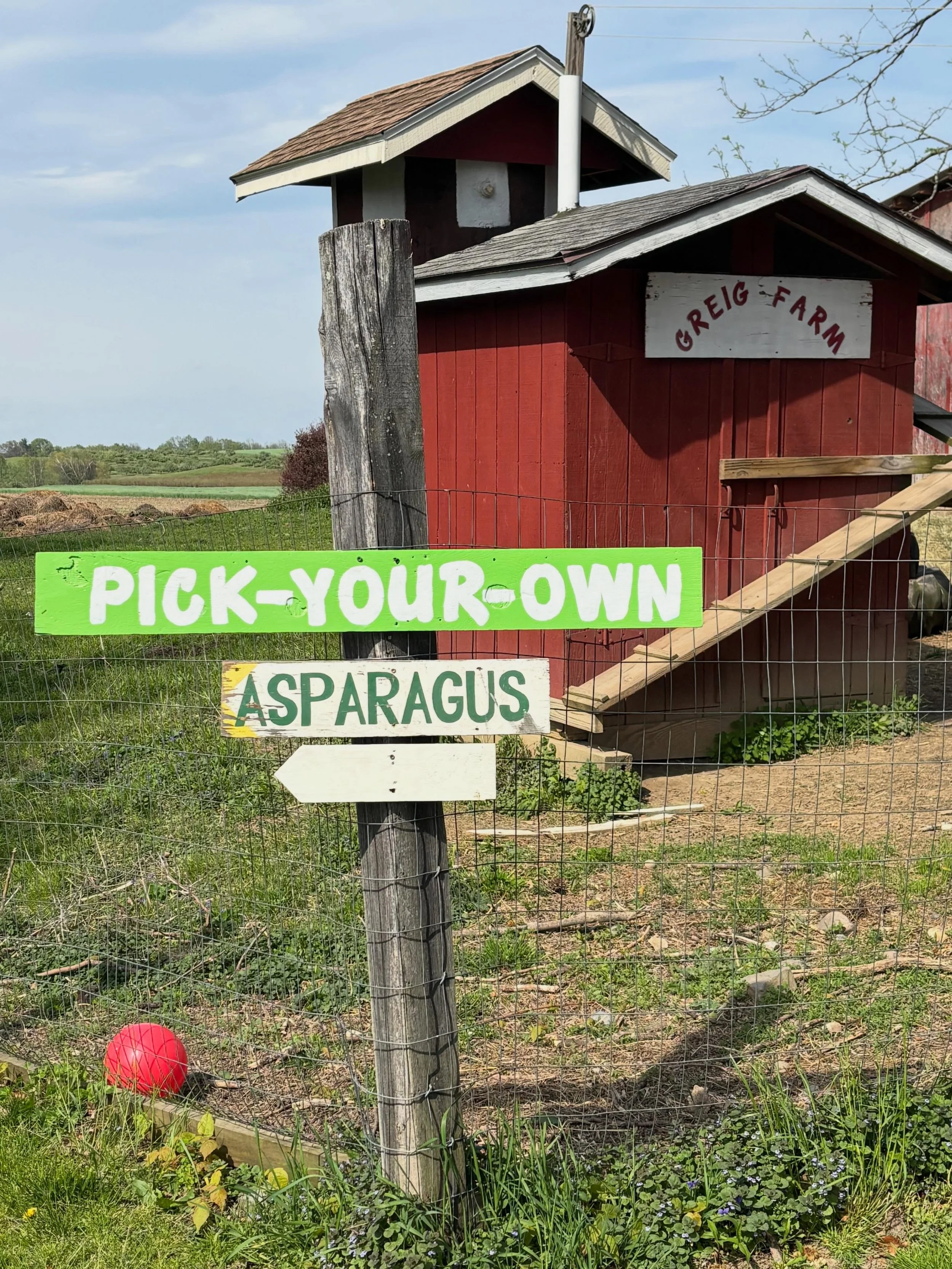 A Weekend to Celebrate!

👩&zwj;🌾Picking Season is Open
💚Asparagus PYO 10a-dusk
🌸Mother&rsquo;s Day
🤩Makers Market 
🌻Seedling Sale
And maybe baby goats!  We&rsquo;re on kid watch

#mothersdaybrunch #HudsonValleyFarms
#asparaguspicking