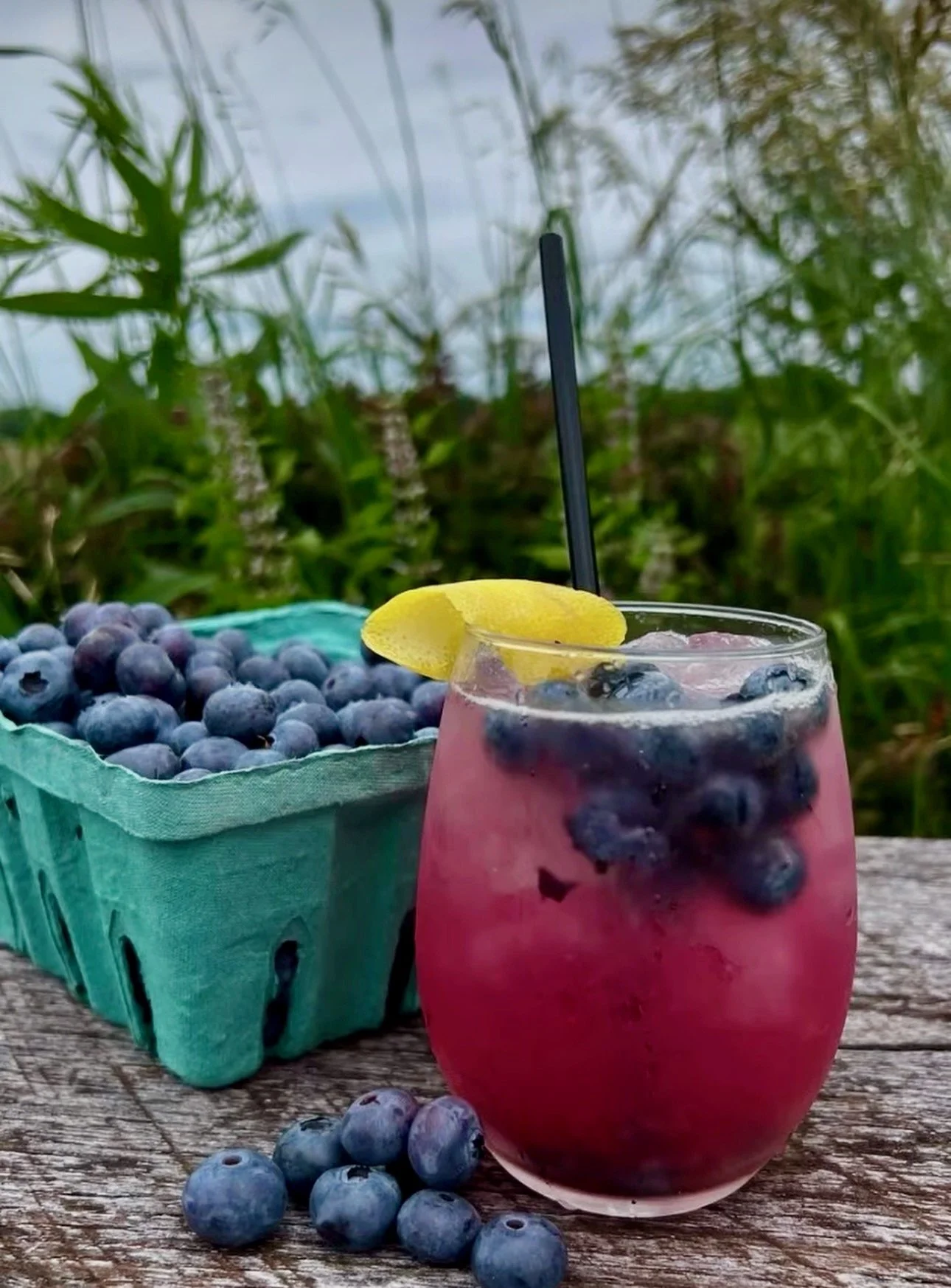 Blueberry Blast - Pick the Blues and Enjoy Blue Food &amp; Drink Specials