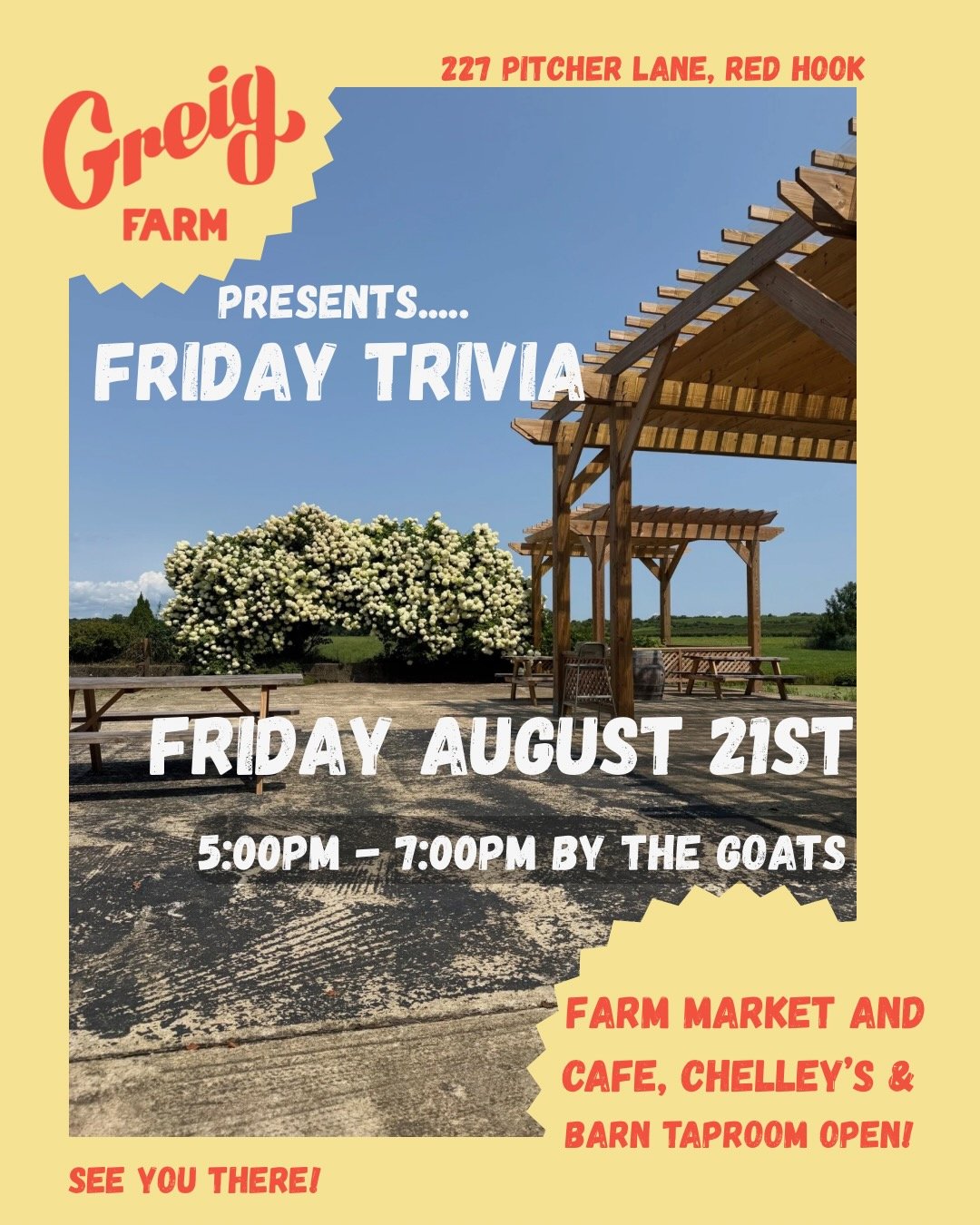 Friday Trivia Under the Pergolas