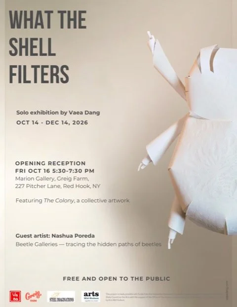Art Opening - What the Shell Filters by visual artist Vaea Dang + Musical Performance