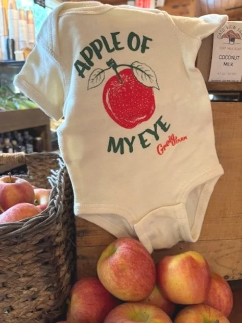Baby+Onesie+Apple+of+My+Eye.jpg
