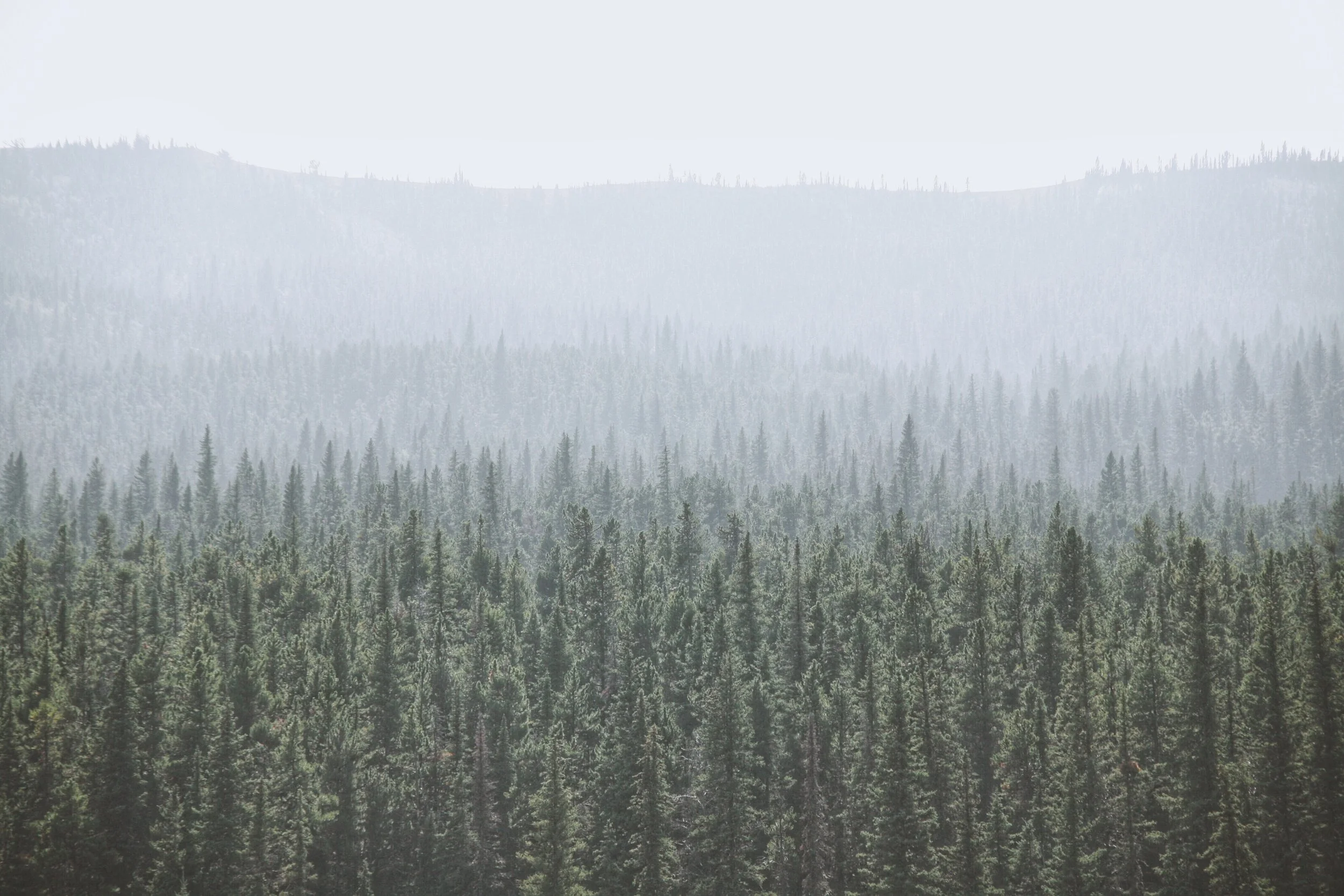 Processed with VSCO with a10 preset