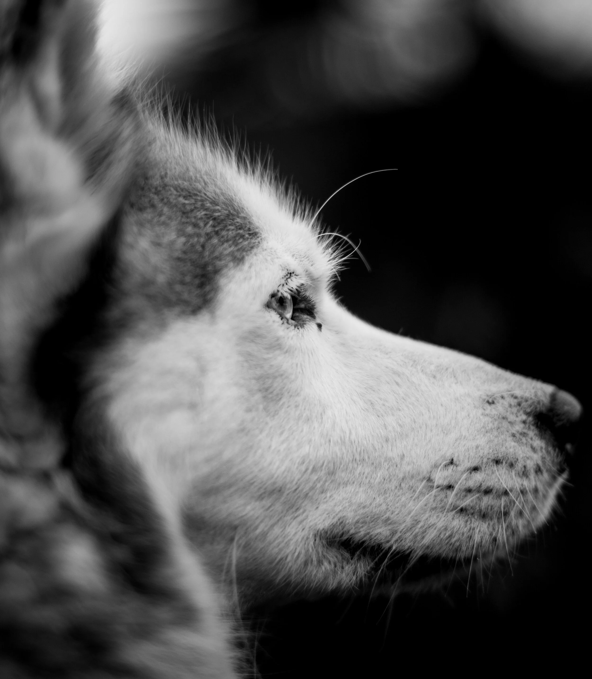 Should we follow the example of a violent criminal? What if your eternity depends on it?