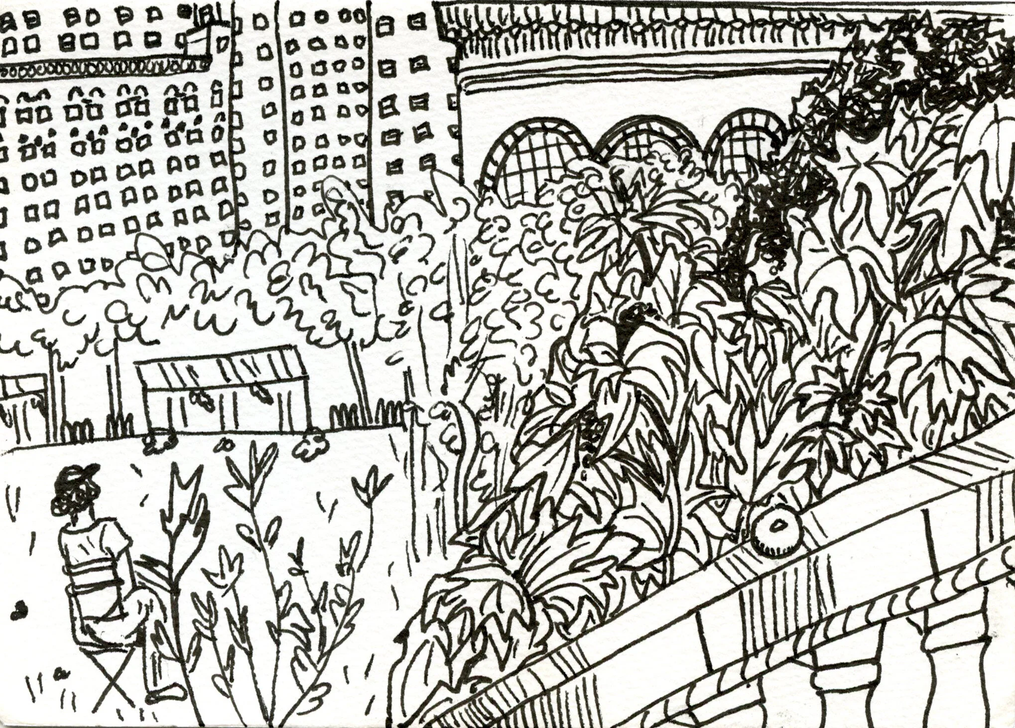 img20211012_10431682 copy.jpg