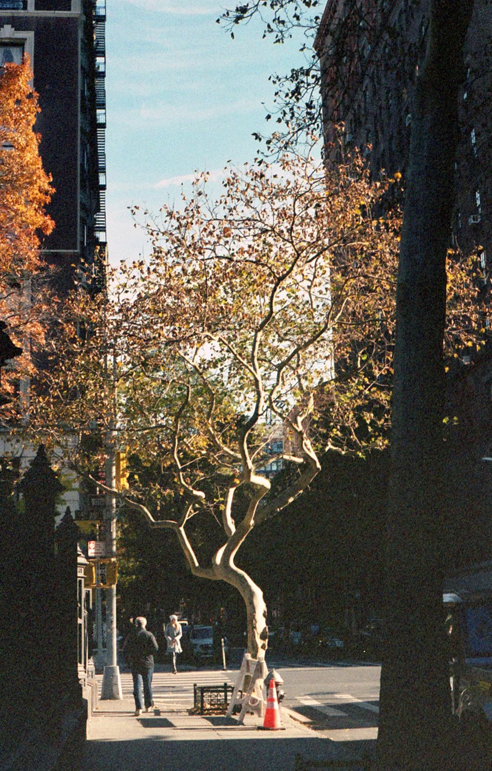 img20240320_10432725 copy.jpg