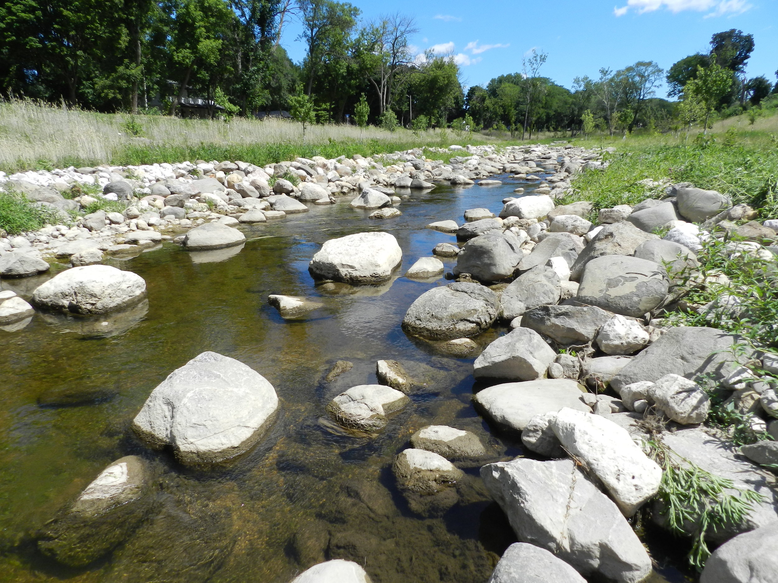 Boulders can be stable features that create habitat structure