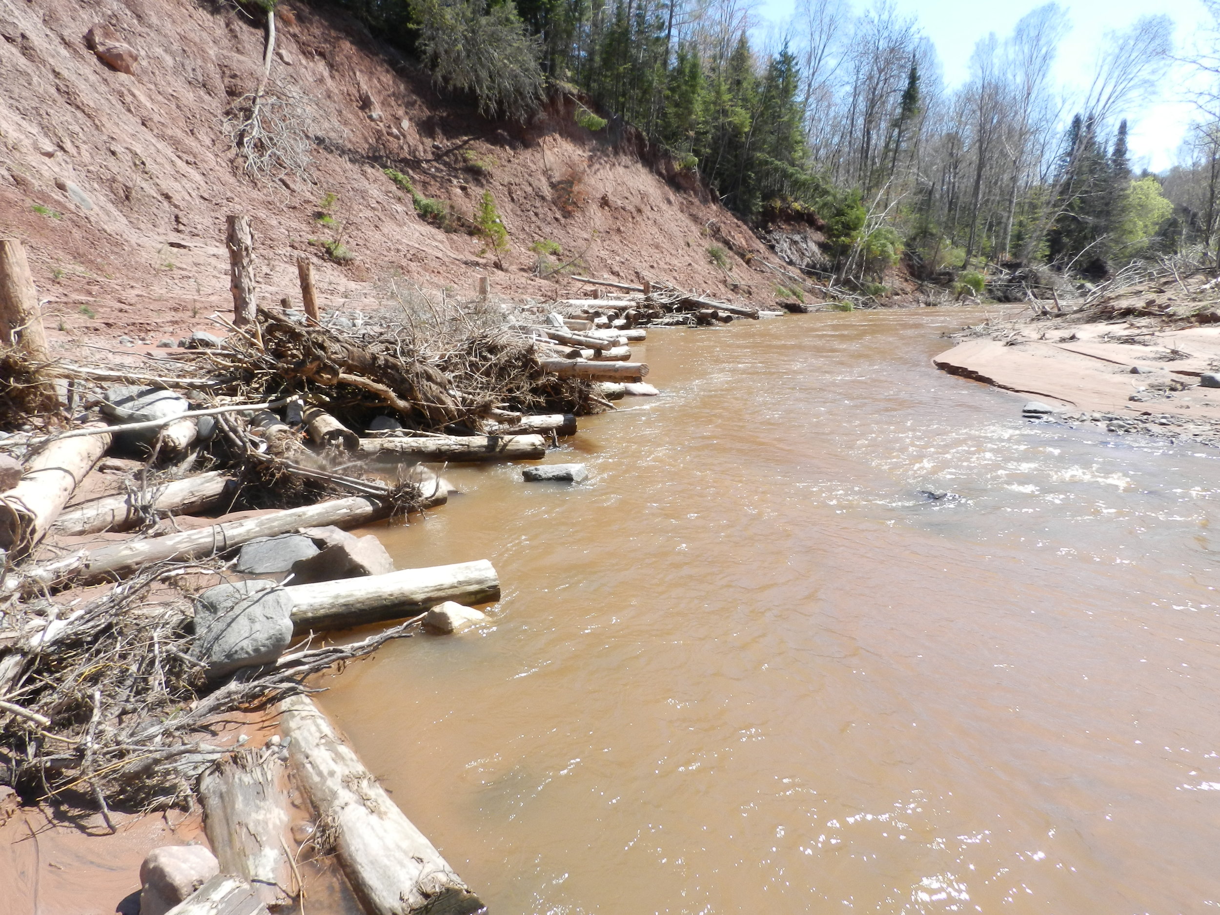In some locations, log jams can be designed to mimic natural processes that lead to bluff toe stability