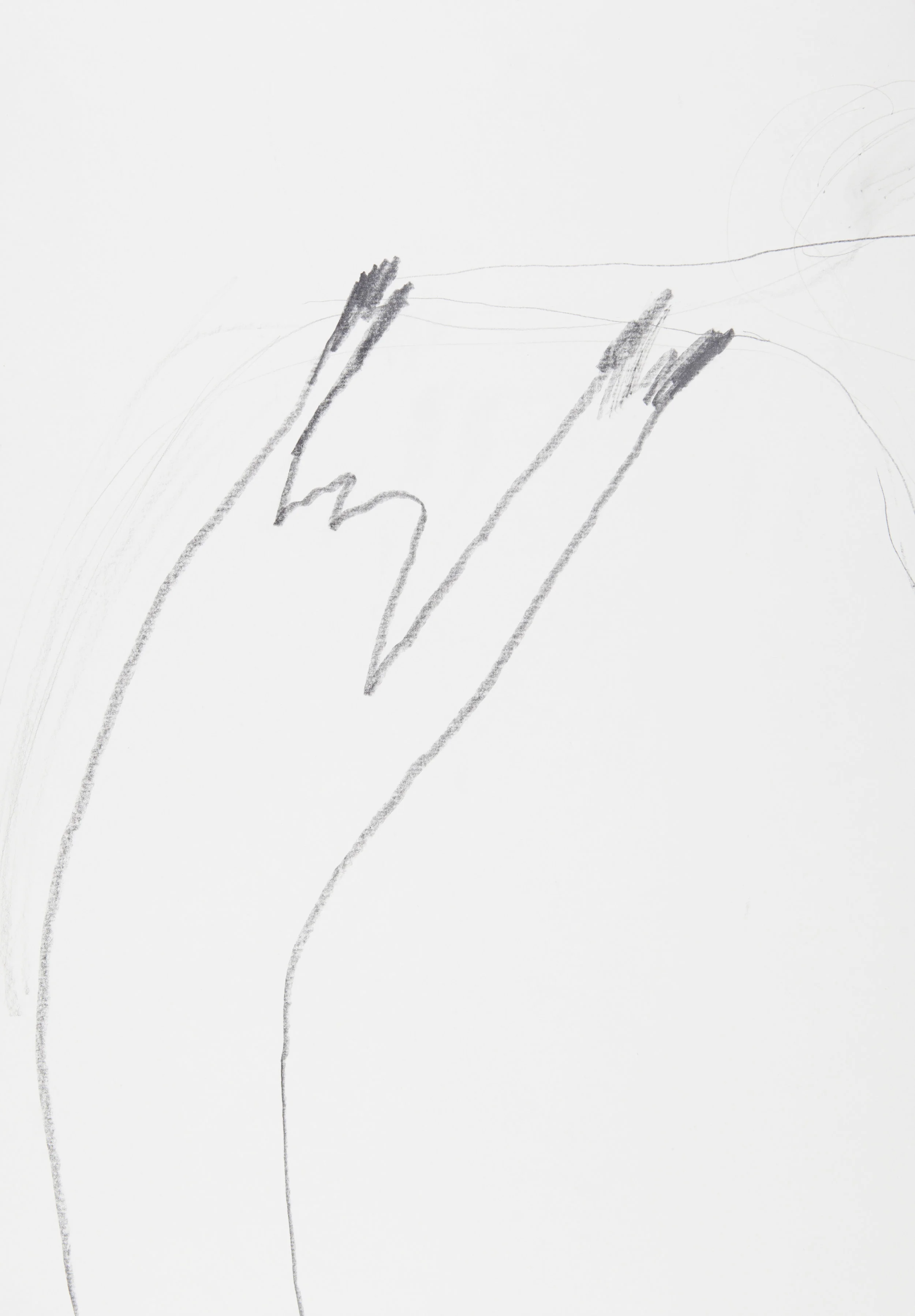 s.d. 2 pencil on paper, 50 x 35 cm