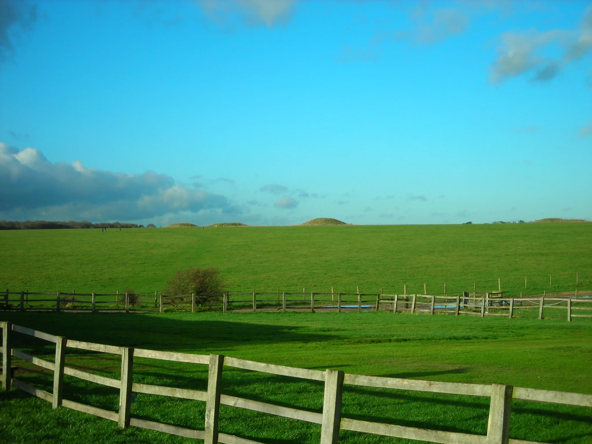 Testamentary Division of Land