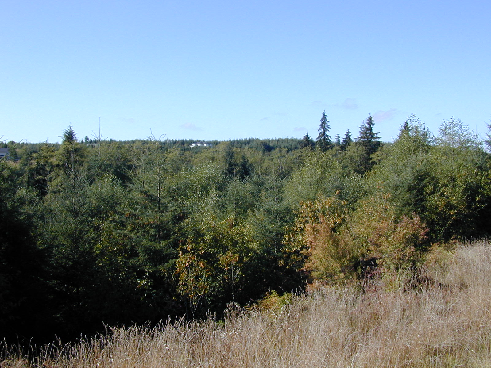 Inspecting Land For Development