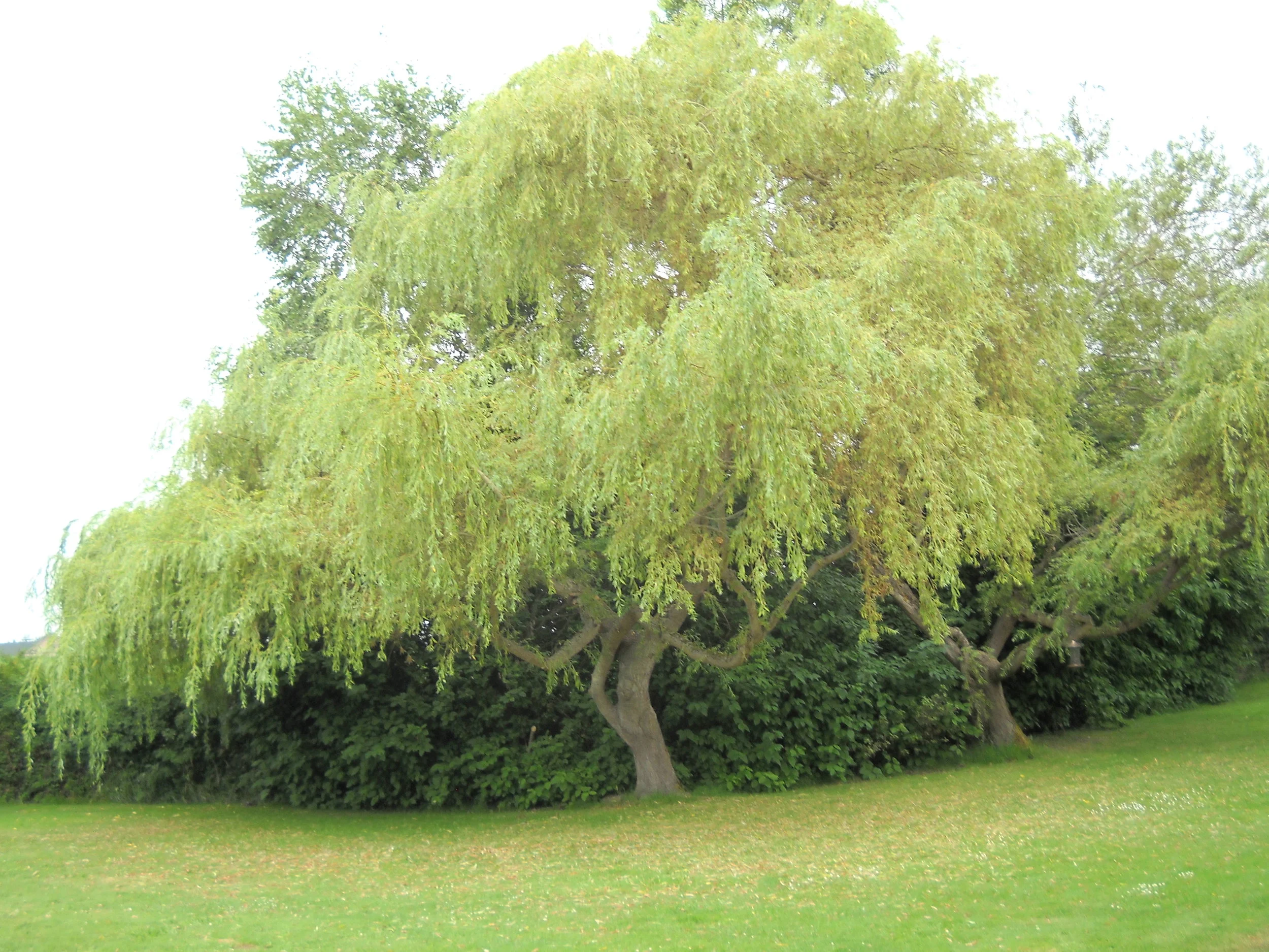 What is Eminent Domain?