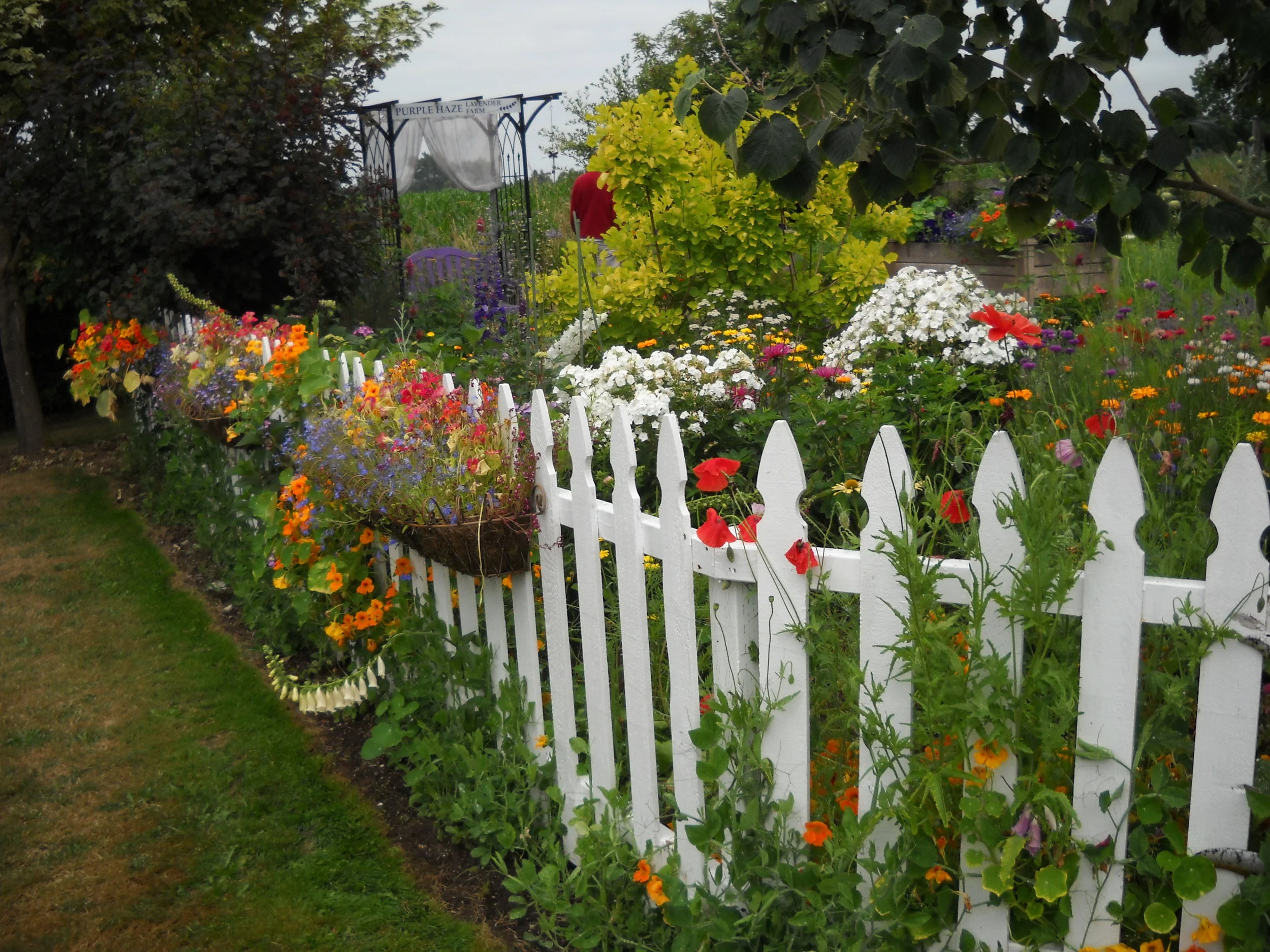 Amenities In Land Development Projects