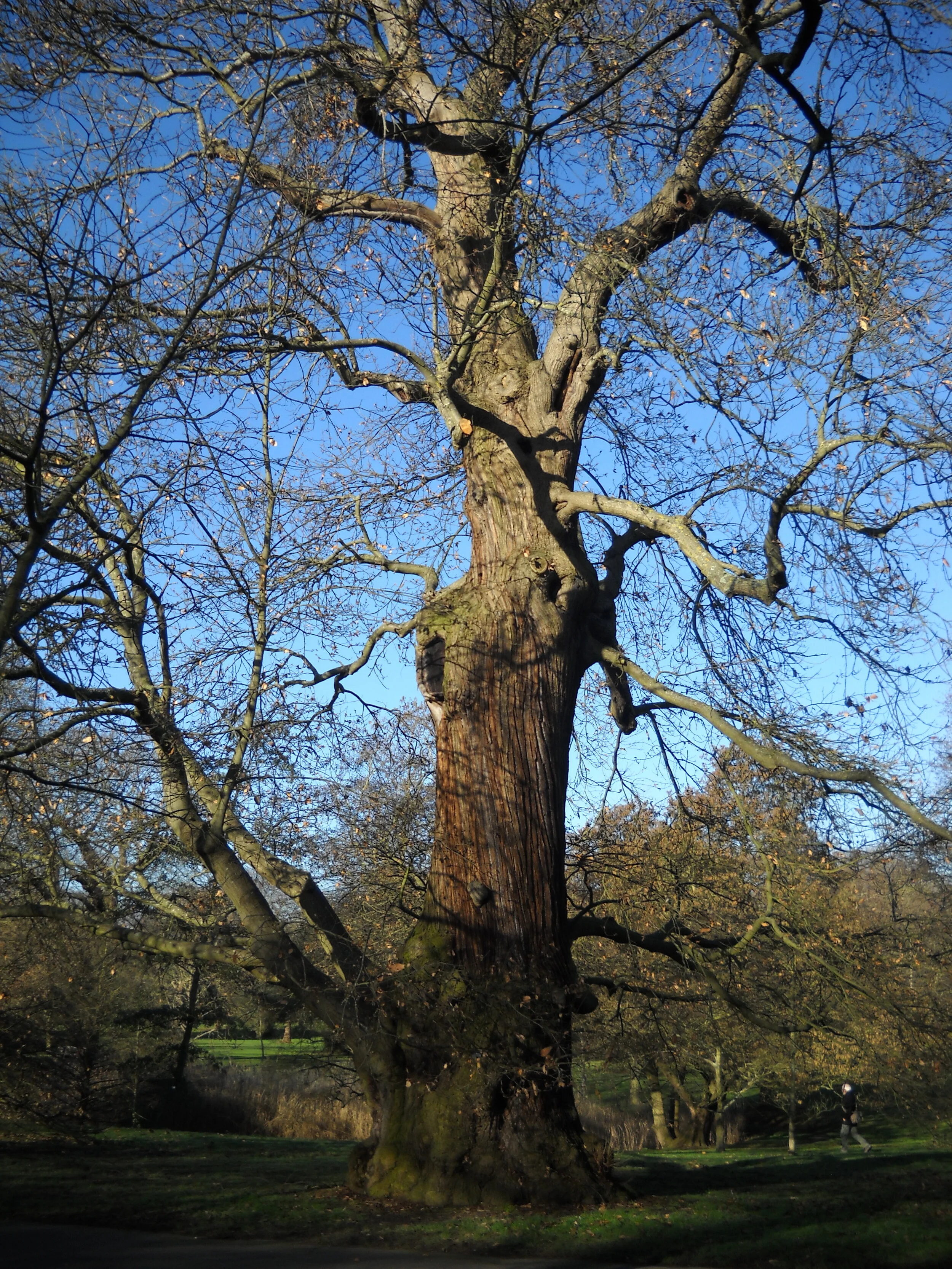 Developing Land You Already Own