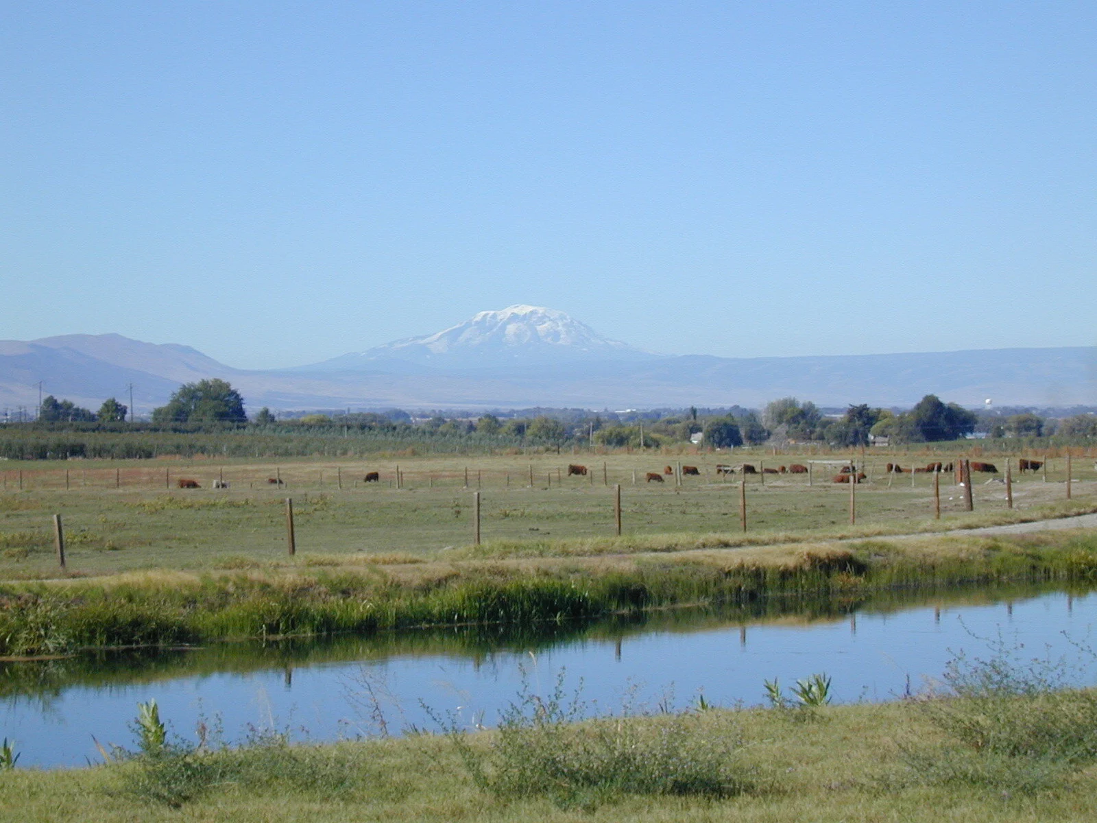 Rural Residential CC&amp;R Considerations