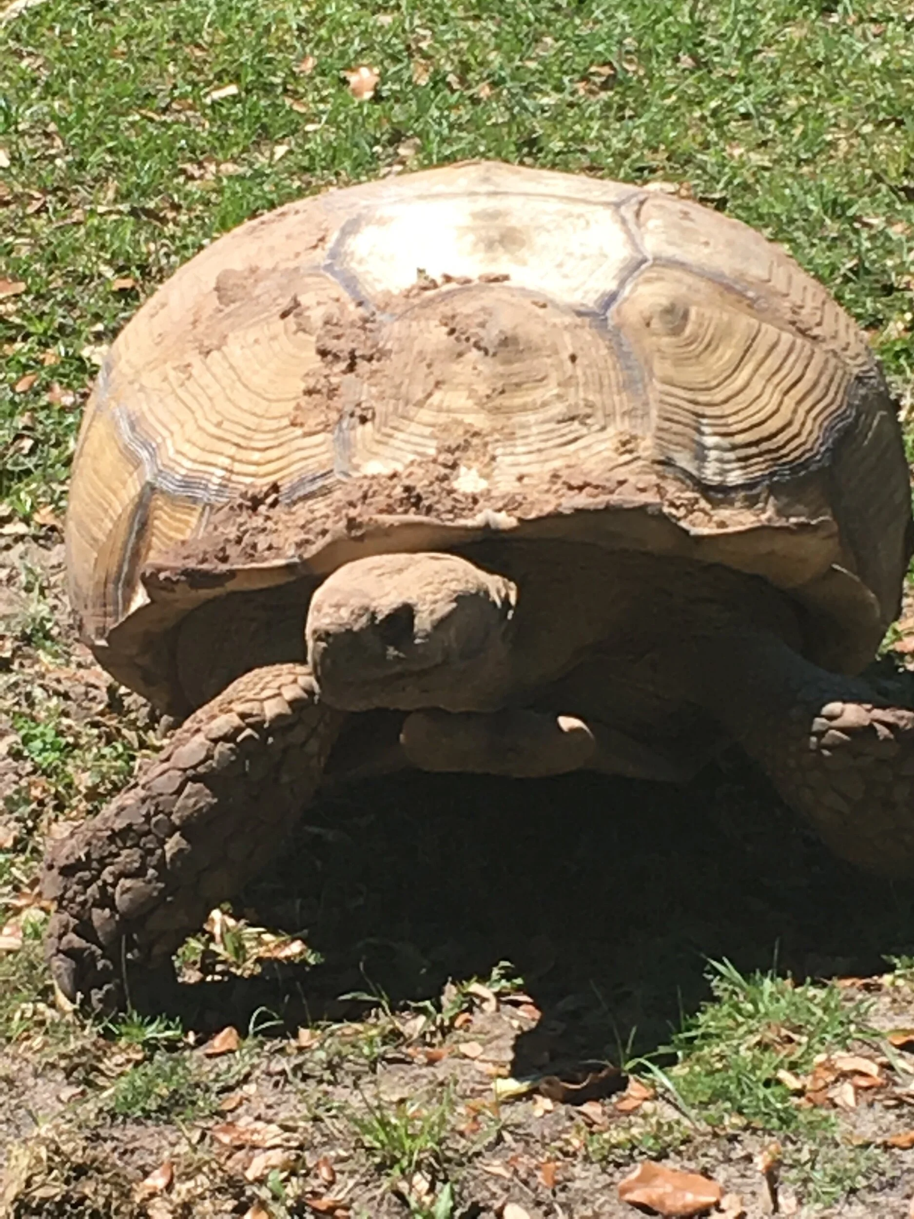 Should I Start a Real Estate Blog?