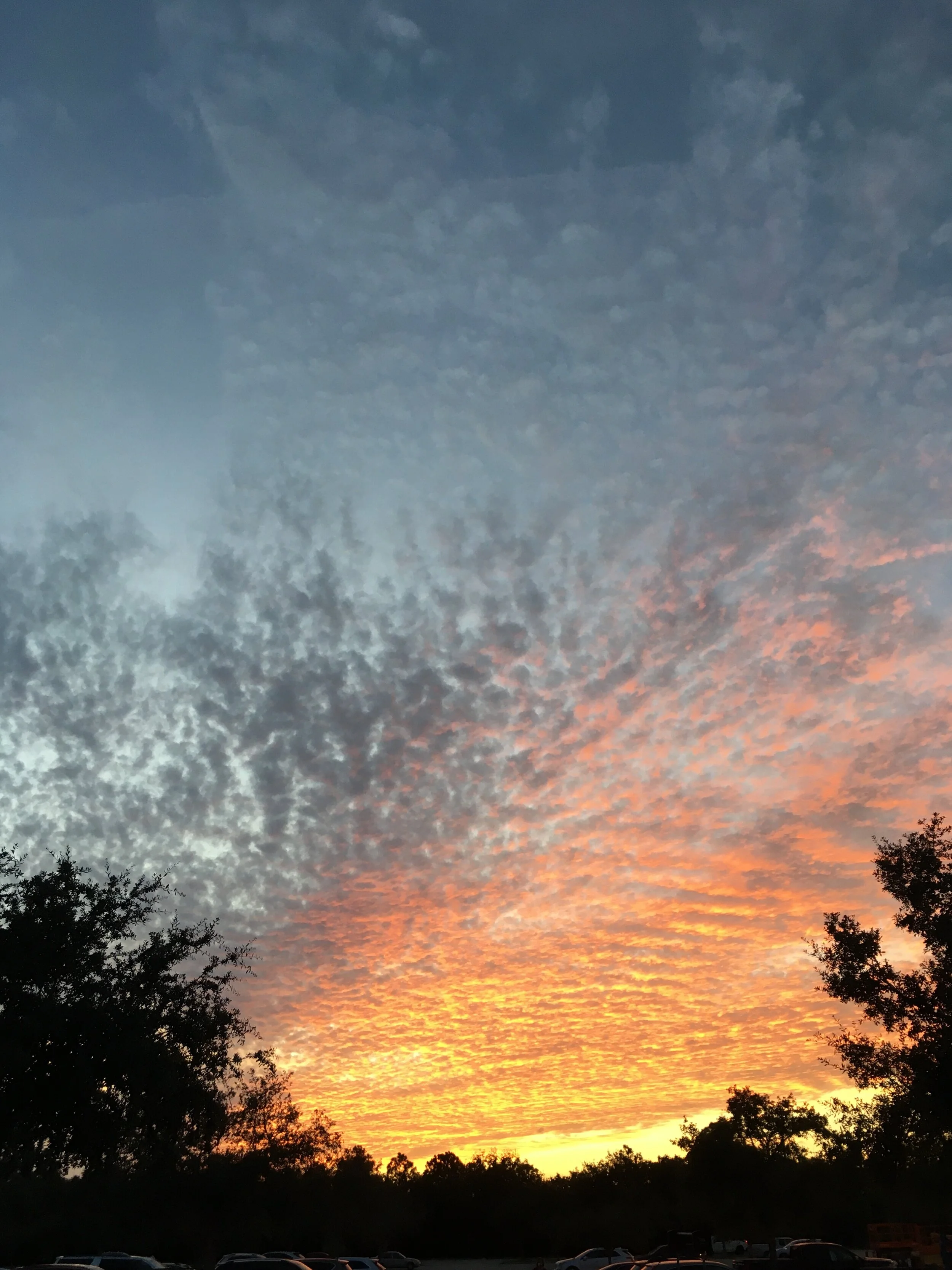 How Are CC&amp;R's Managed And Enforced?