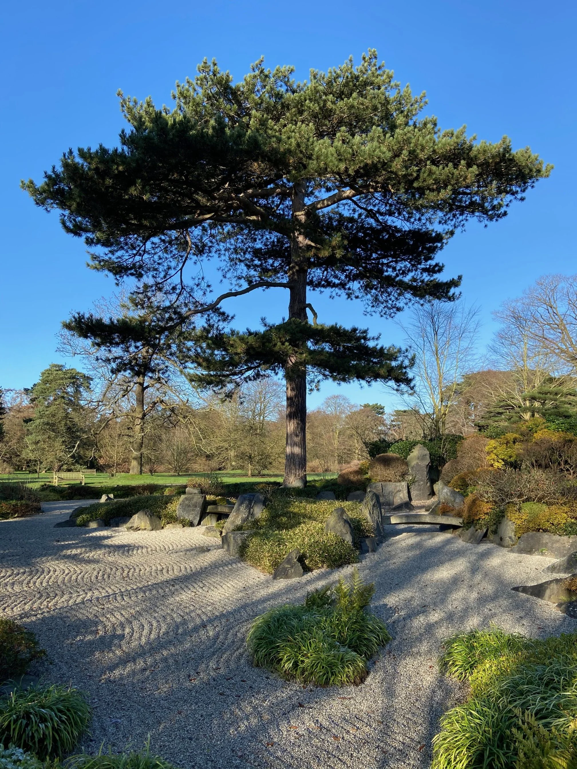 How I Fell In Love With Land