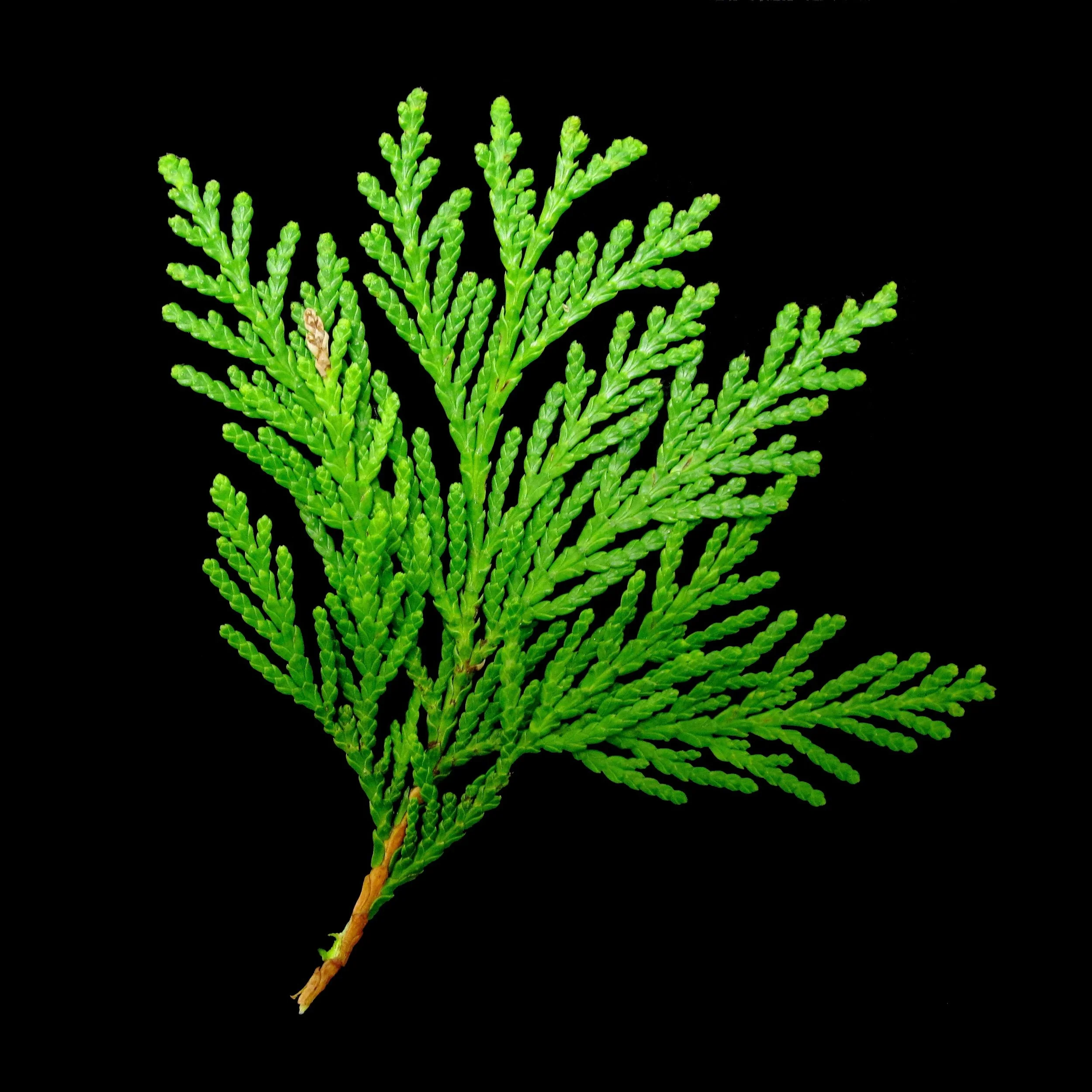 IMG_2854 - Version 2.jpg